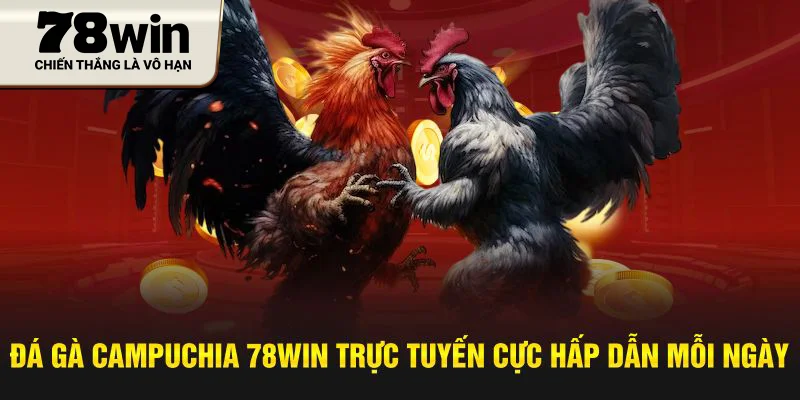 Đá Gà Campuchia 78Win Trực Tuyến Cực Hấp Dẫn Mỗi Ngày